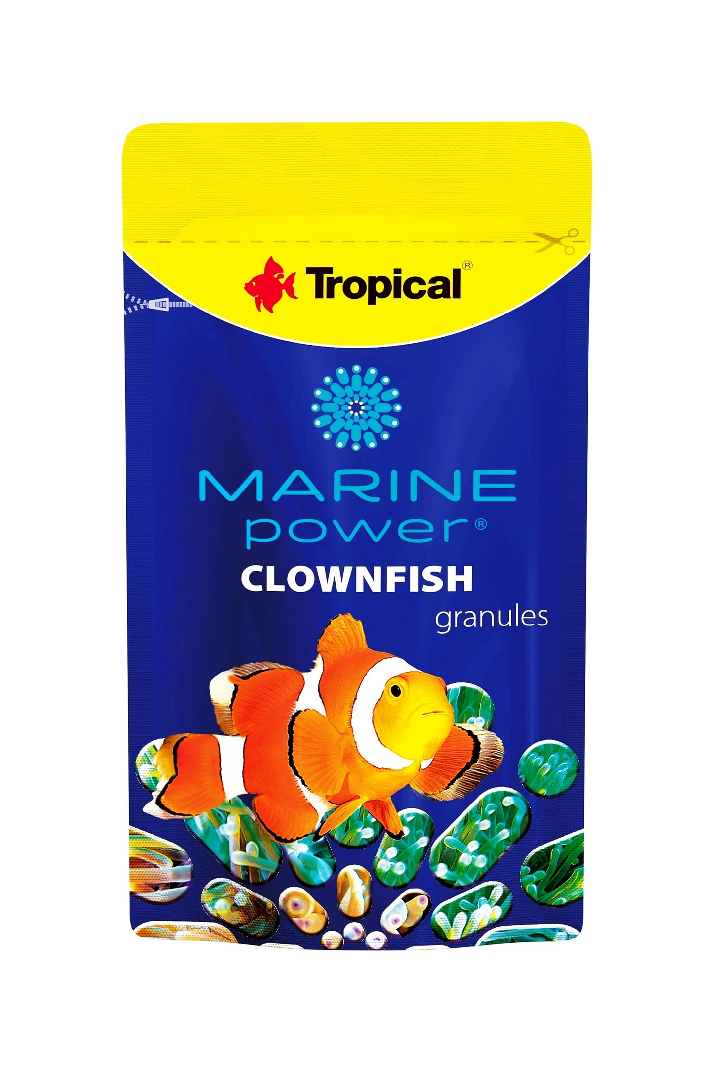 Tropical - Marine Power Clownfish 15 G.