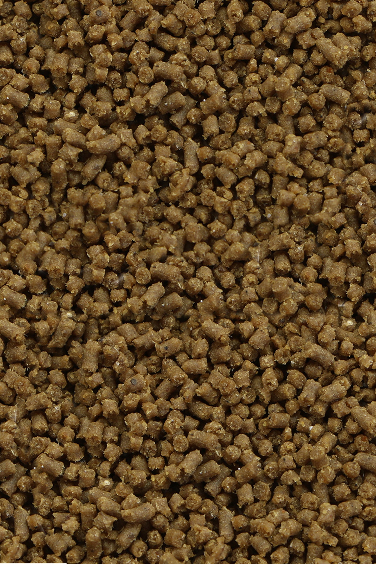 Vitalis - An00060 Anemone Pellet 60G