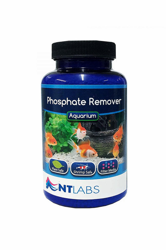 Acondicionador PhospHate Remover de NTLABS (180 gr)