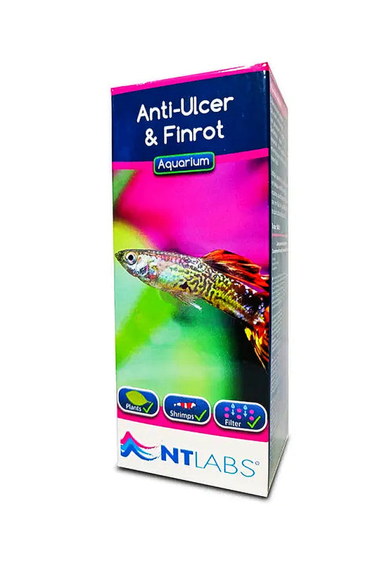 Spülung gegen Geschwüre und Flossenfäule: Anti Ulcer &amp; Finrot von NTLABS (100 ml)