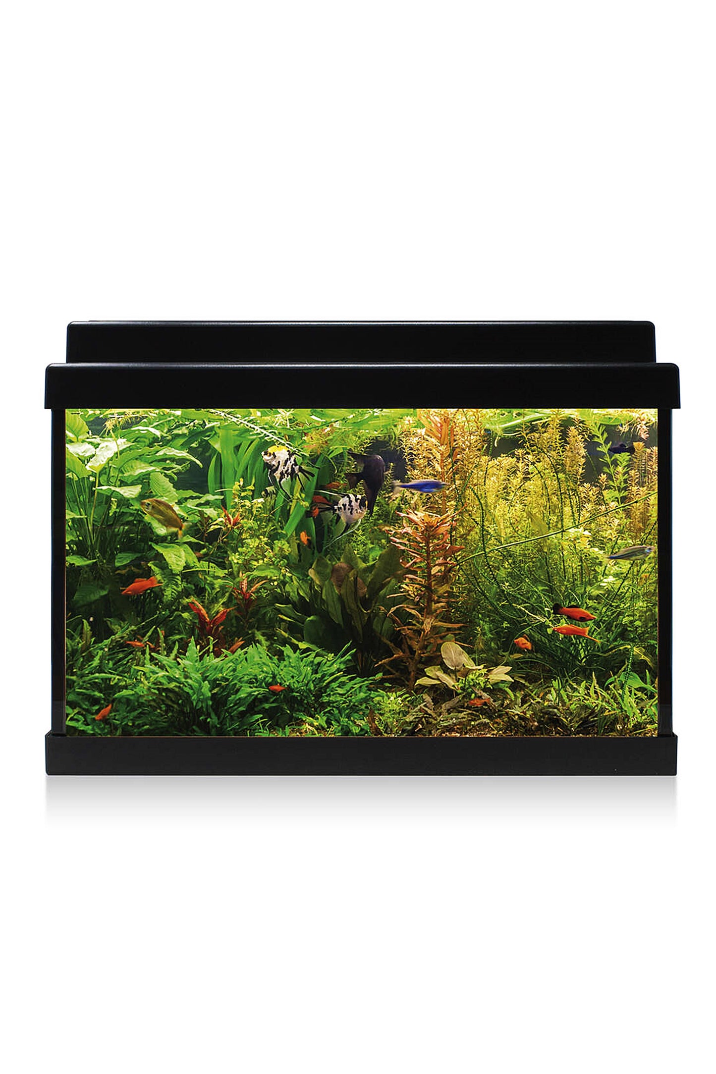 AquaLED 20 Aquarium-Set mit Innenfilter (20 Liter), Schwarz