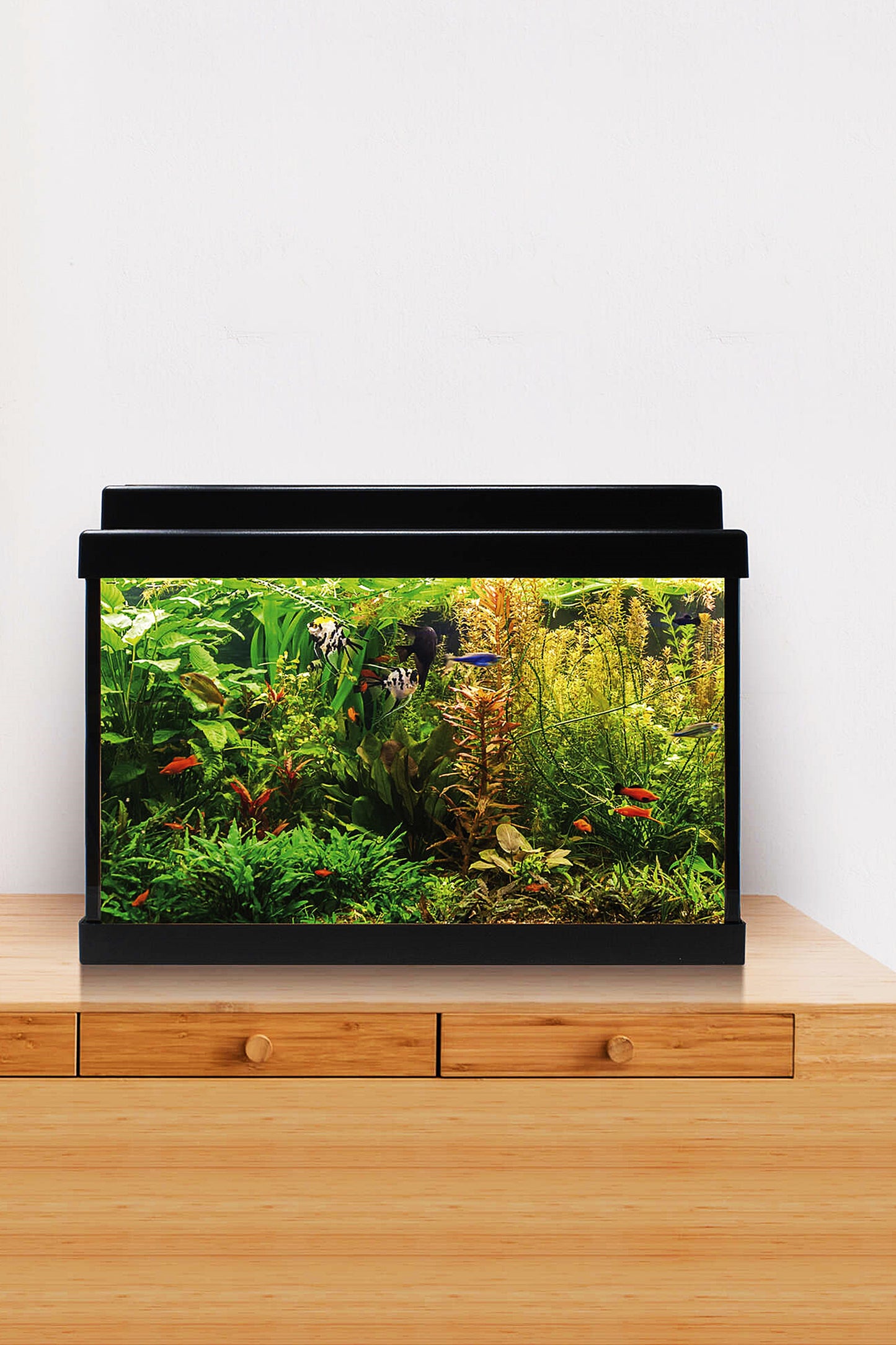 AquaLED 20 Aquarium-Set mit Innenfilter (20 Liter), Schwarz