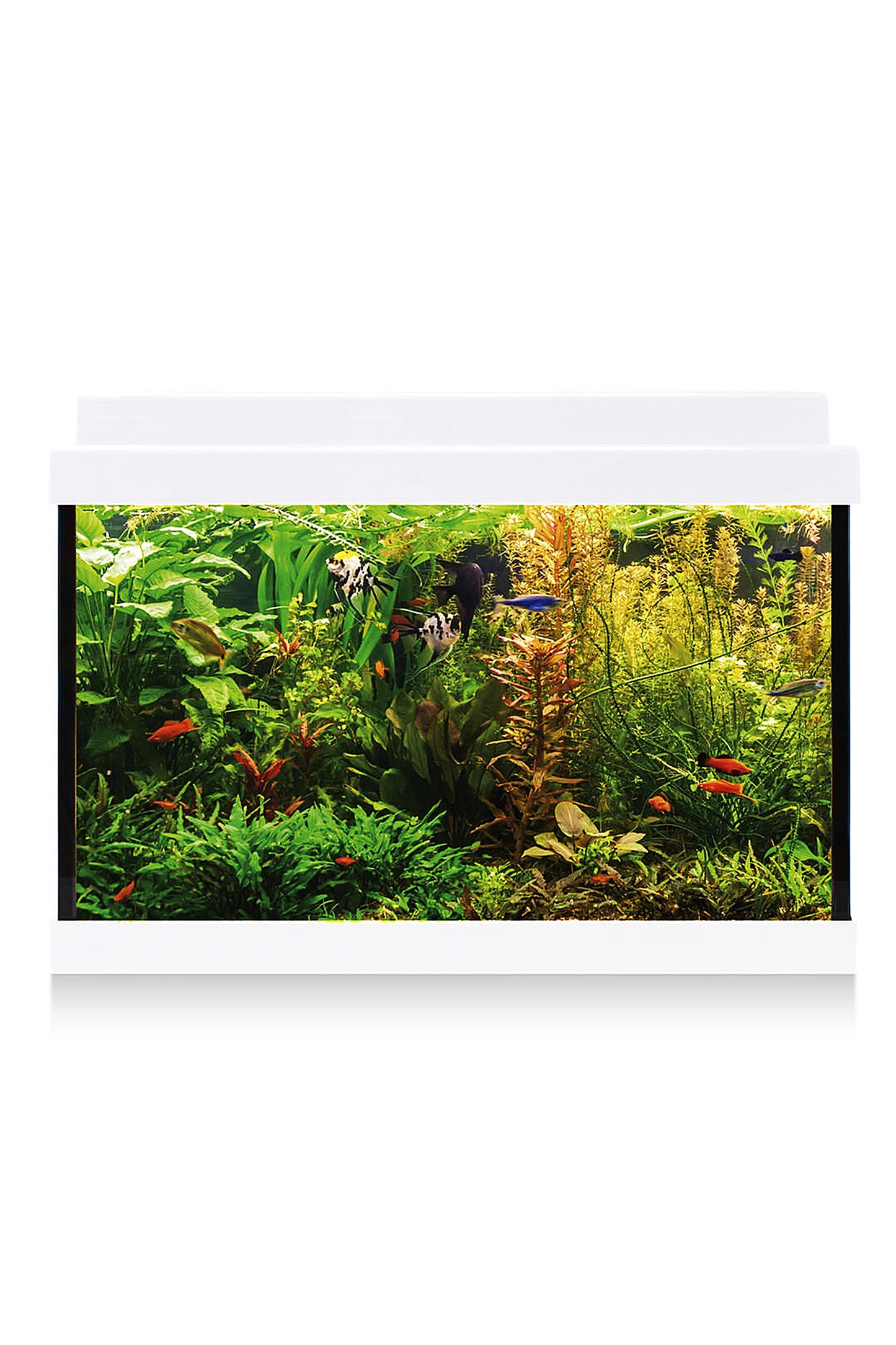 Acuario Kit AquaLED 20 con Filtro Interior (20 litros) Blanco