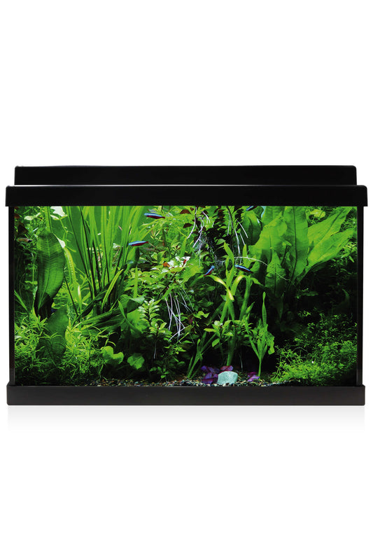 Acuario Kit AquaLED 33 con Filtro Interior (33 litros) Negro