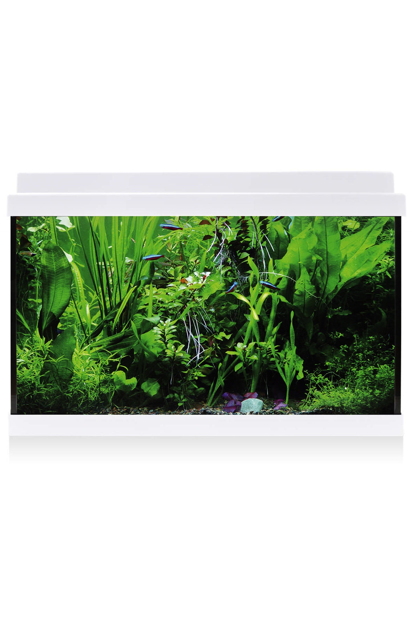 Acuario Kit AquaLED 33 con Filtro Interior (33 litros) Blanco