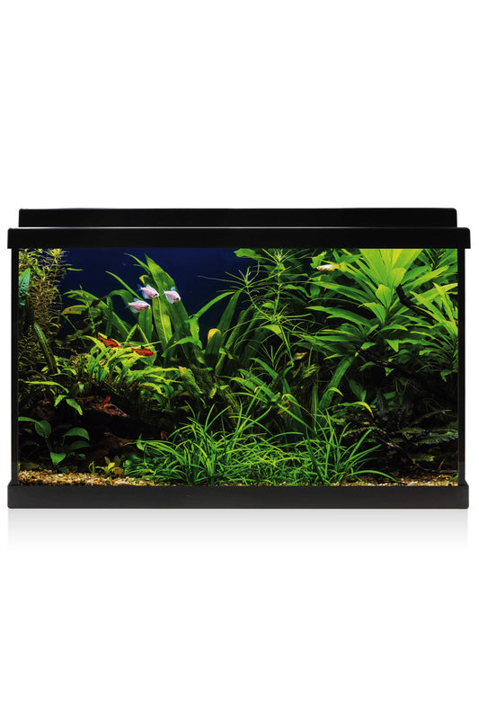 Acuario Kit AquaLED 64 con Filtro Interior (64 litros) Negro