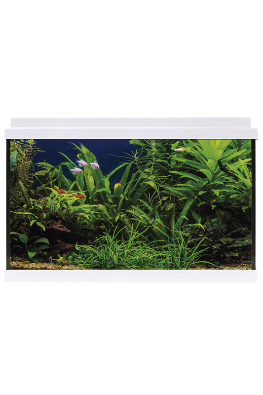 Acuario Kit AquaLED 64 con Filtro Interior (64 litros) Blanco