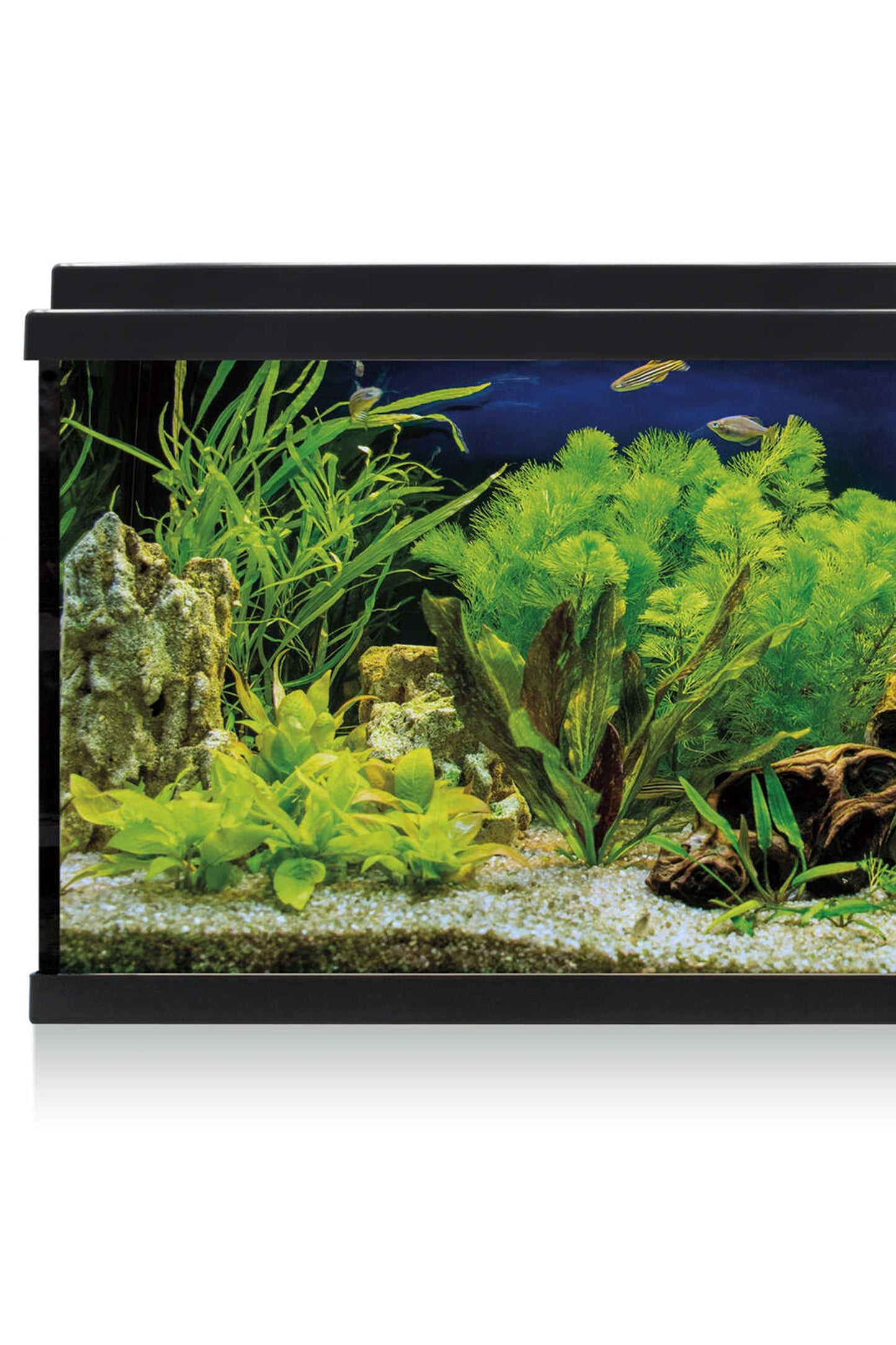 Acuario Kit AquaLED 100 con Filtro Interior (100 litros)