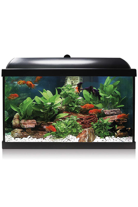 Acuario Kit AquaLED PRO 45 con Filtro Interior (45 litros) Negro