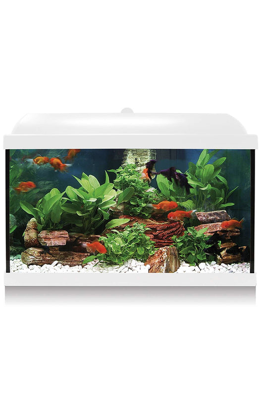 Acuario Kit AquaLED PRO 45 con Filtro Interior (45 litros) Blanco