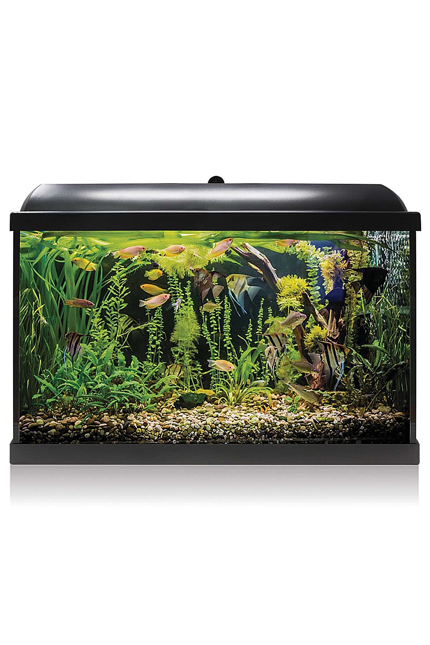 AquaLED PRO 68 Aquarium-Set mit Innenfilter (68 Liter), Schwarz