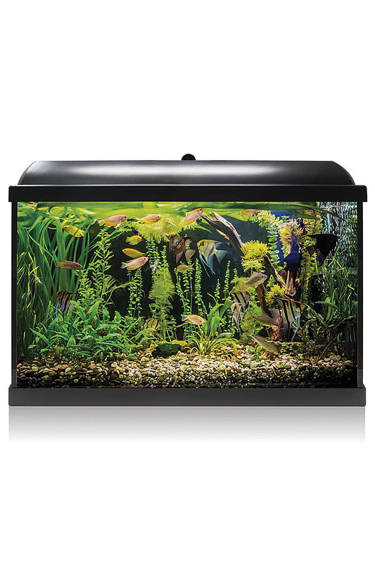 Acuario Kit AquaLED PRO 68 con Filtro Interior (68 litros) Negro