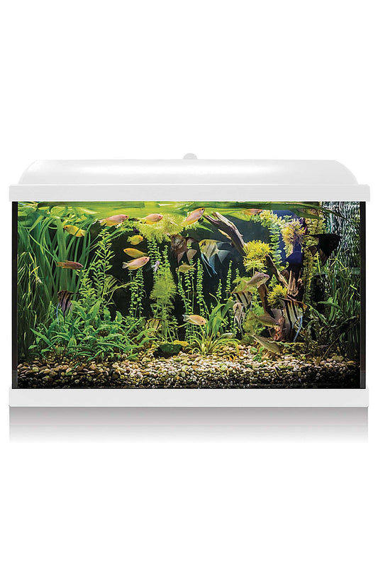 Acuario Kit AquaLED PRO 68 con Filtro Interior (68 litros) Blanco