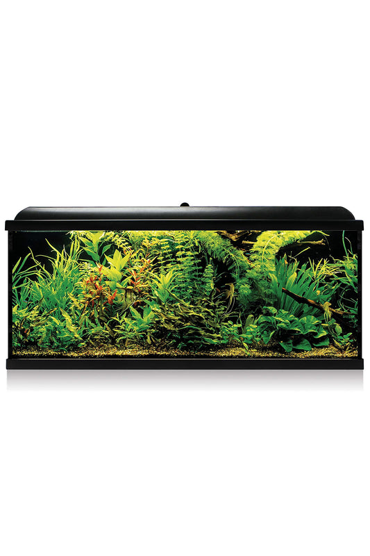 Acuario Kit AquaLED PRO 100 con Filtro Interior (100 litros) Negro