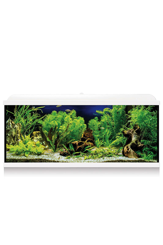 Acuario Kit AquaLED PRO 100 con Filtro Interior (100 litros) Blanco