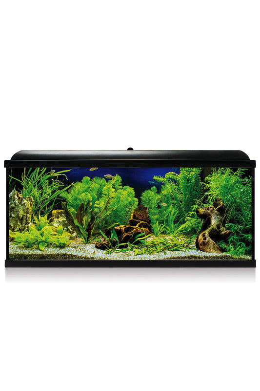 Acuario Kit AquaLED PRO 130 con Filtro Interior (130 litros) Negro