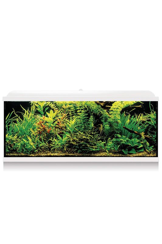 Acuario Kit AquaLED PRO 240 con Filtro Exterior (240 litros) Blanco