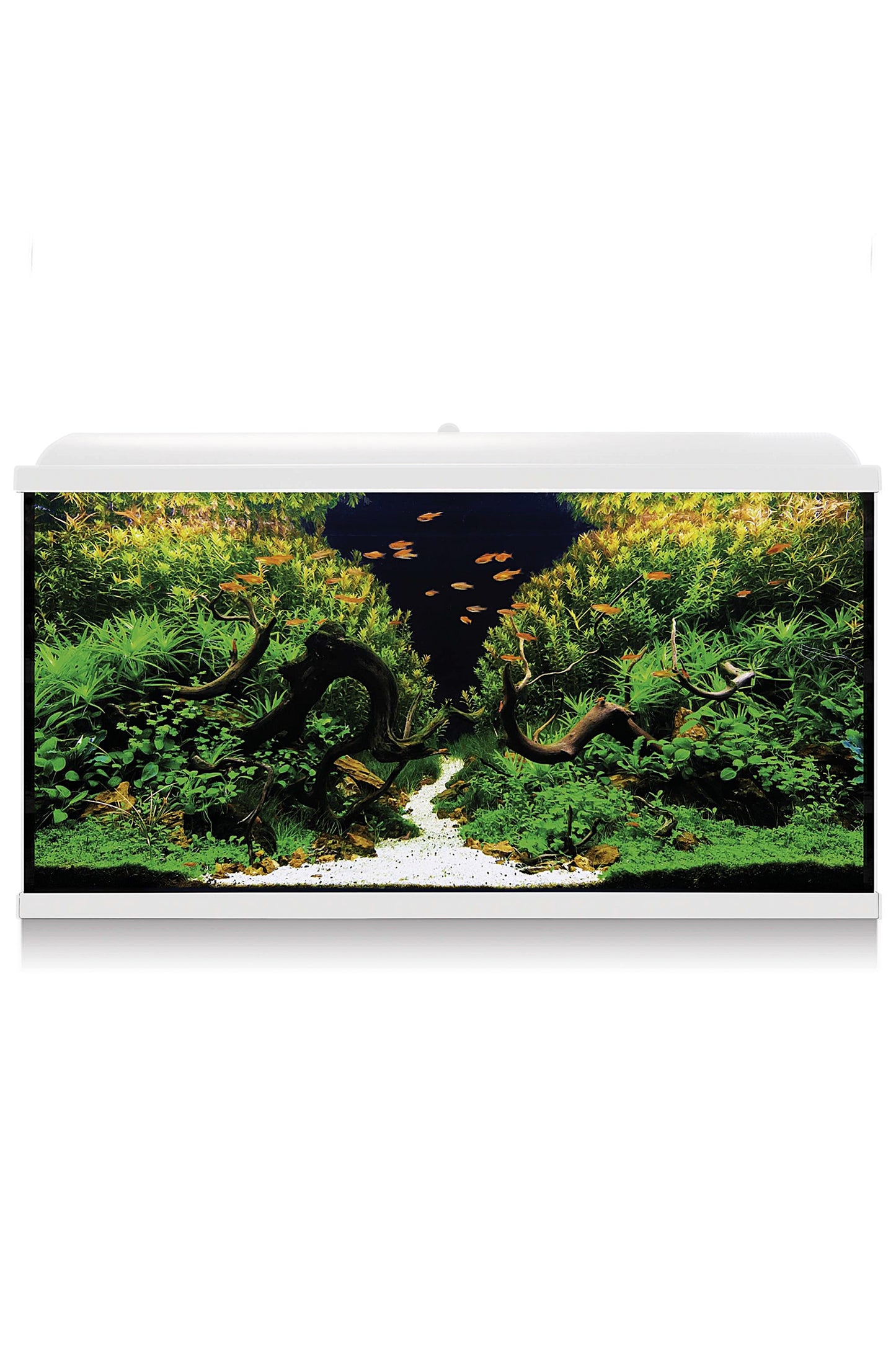 Acuario Kit AquaLED PRO 300 con Filtro Exterior (300 litros) Blanco