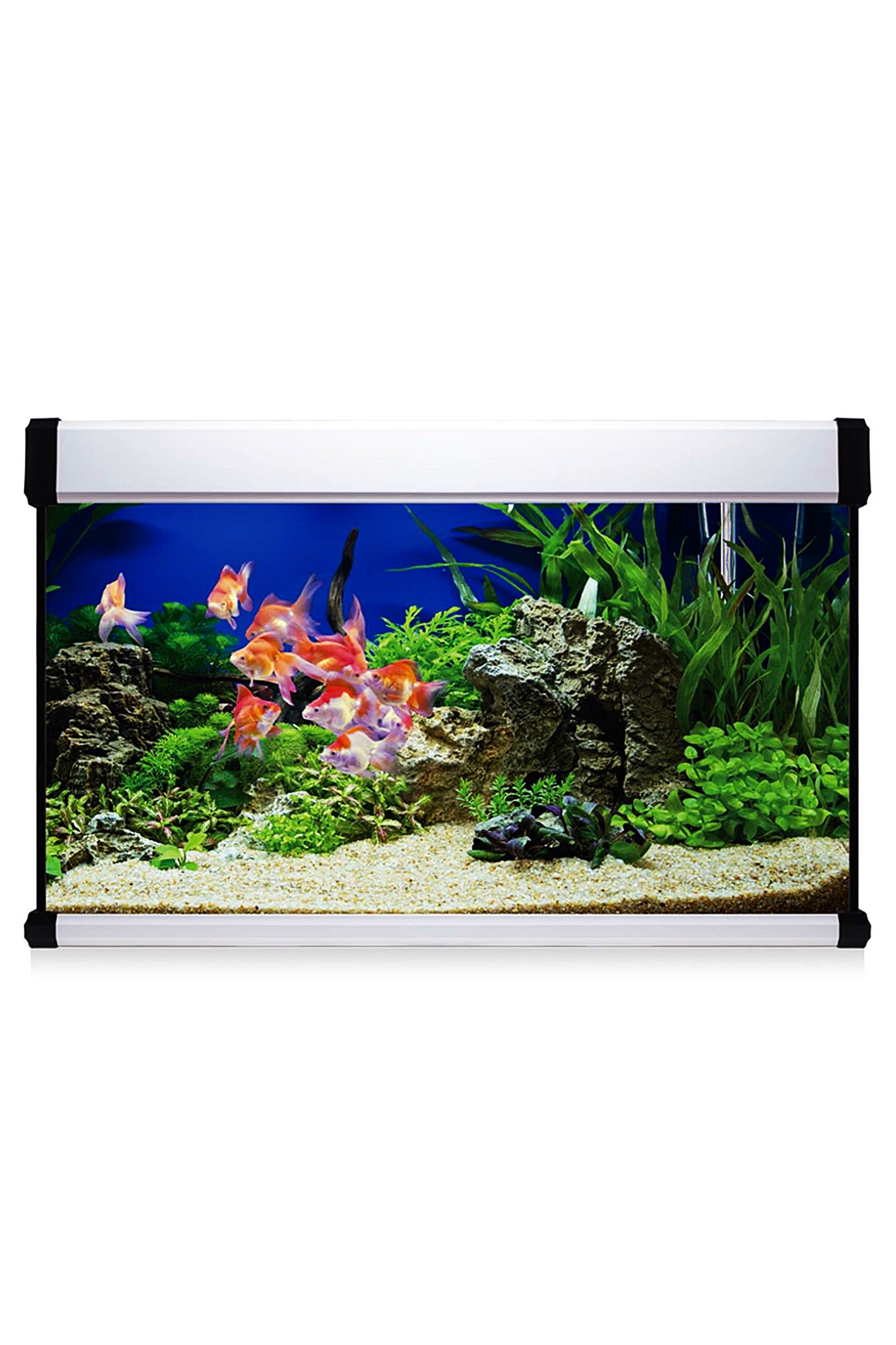 Acuario Kit AquaLux PRO 100 con Filtro Interior (100 litros) Blanco