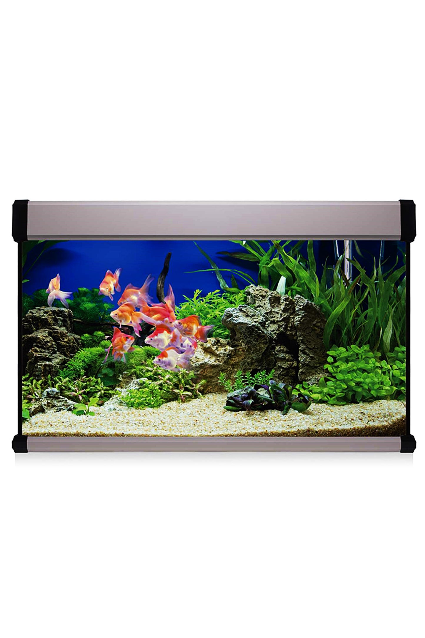 AquaLux PRO 100 Aquarium-Set mit Innenfilter (100 Liter), Silber