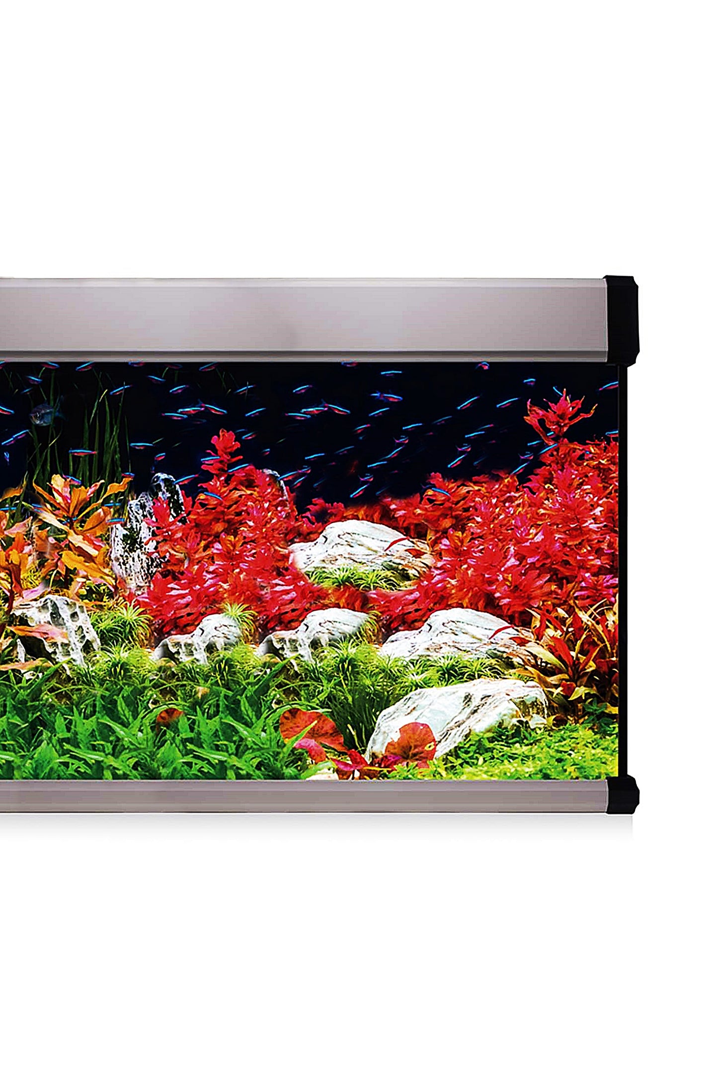 Acuario Kit AquaLux PRO 130 con Filtro Interior (130 litros) Plateado