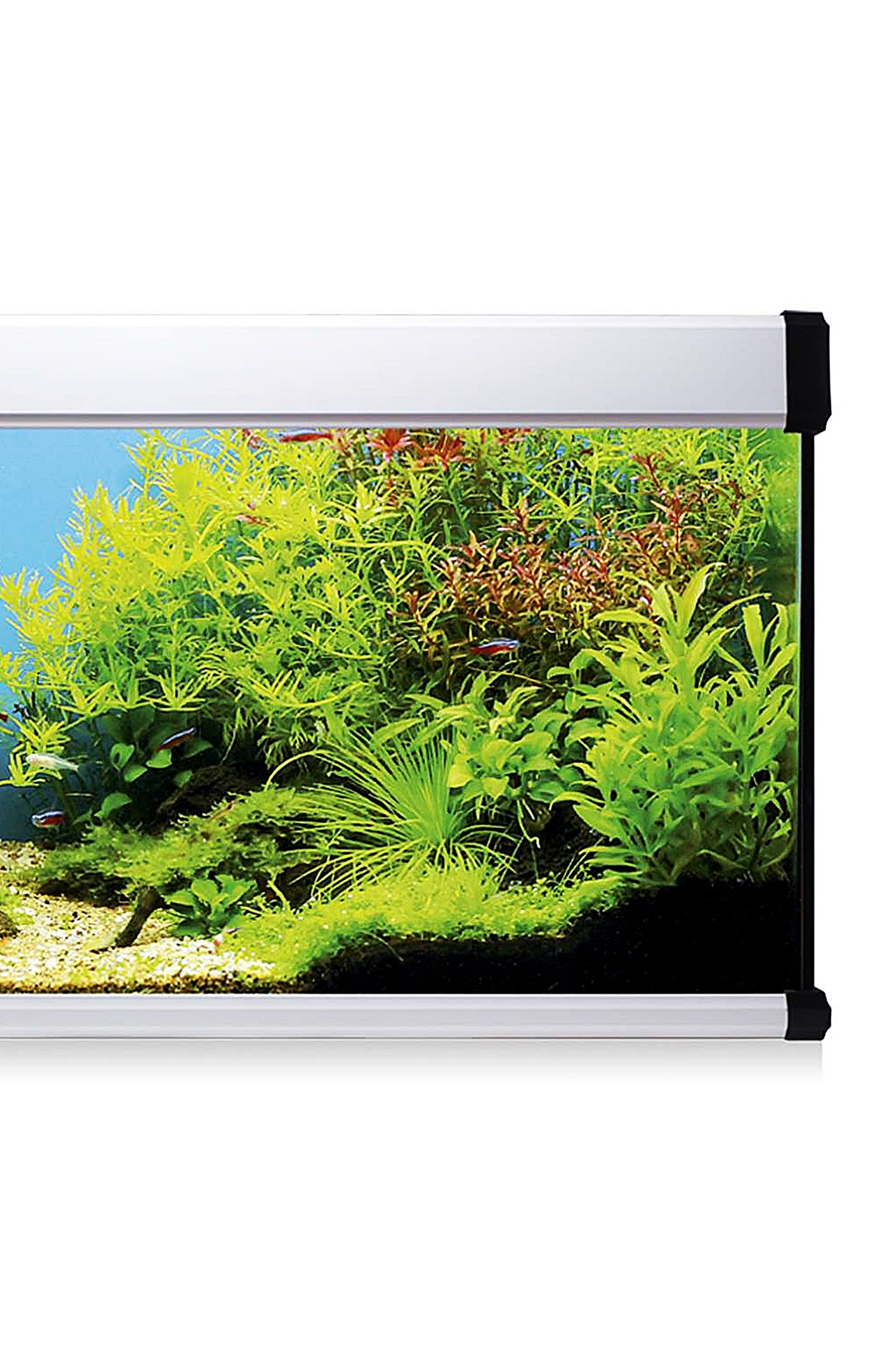 Acuario Kit AquaLux PRO 168 con Filtro Exterior (168 litros) Blanco