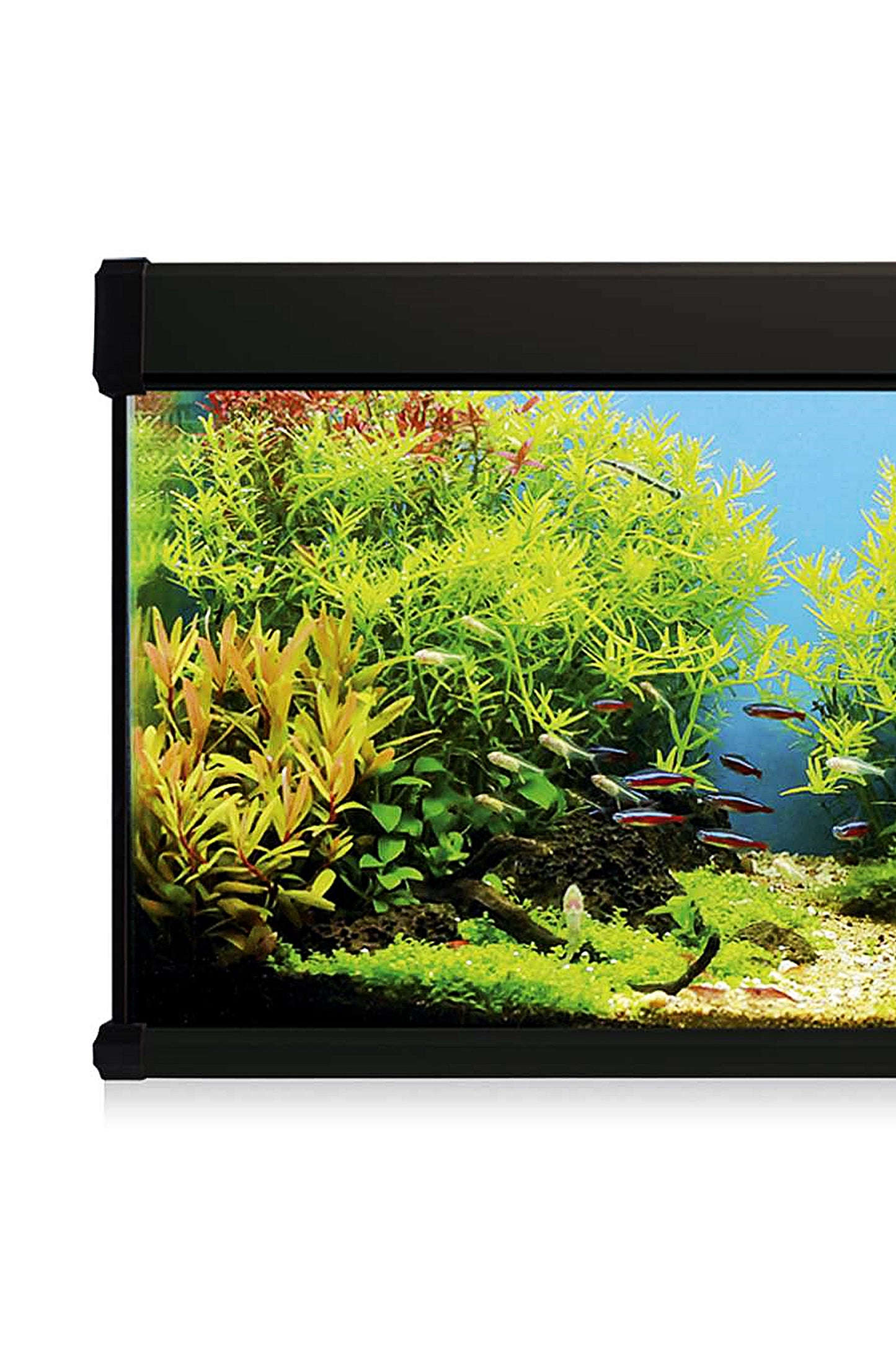 Acuario Kit AquaLux PRO 168 con Filtro Exterior (168 litros) Negro