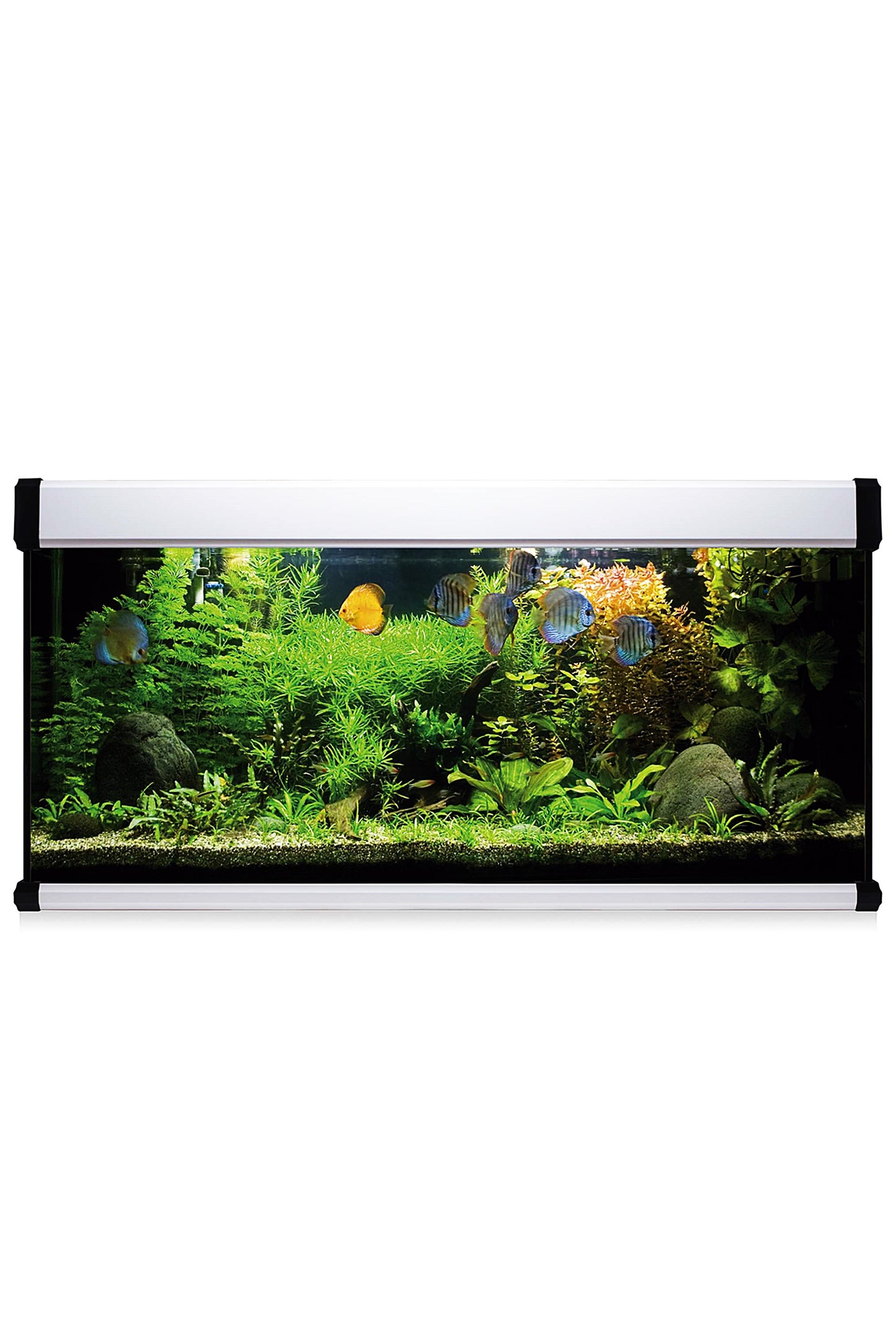 Acuario Kit AquaLux PRO 240 con Filtro Exterior (240 litros) Blanco