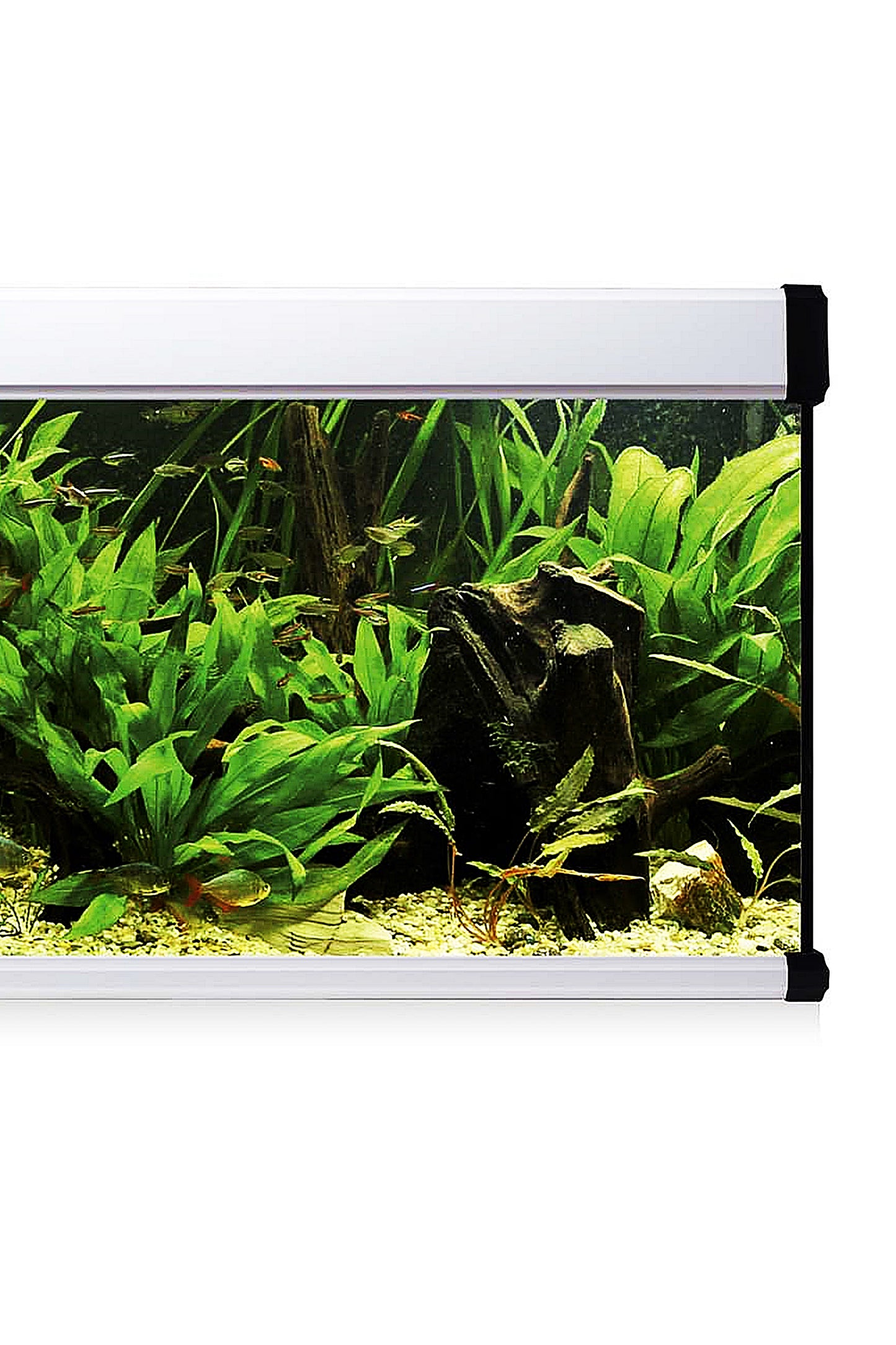 Acuario Kit AquaLux PRO 240 con Filtro Exterior (240 litros) Blanco