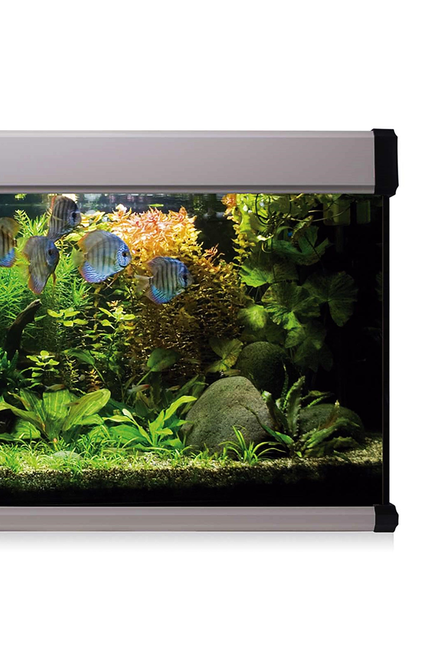 AquaLux PRO 240 Aquarium-Set mit Außenfilter (240 Liter), Silber