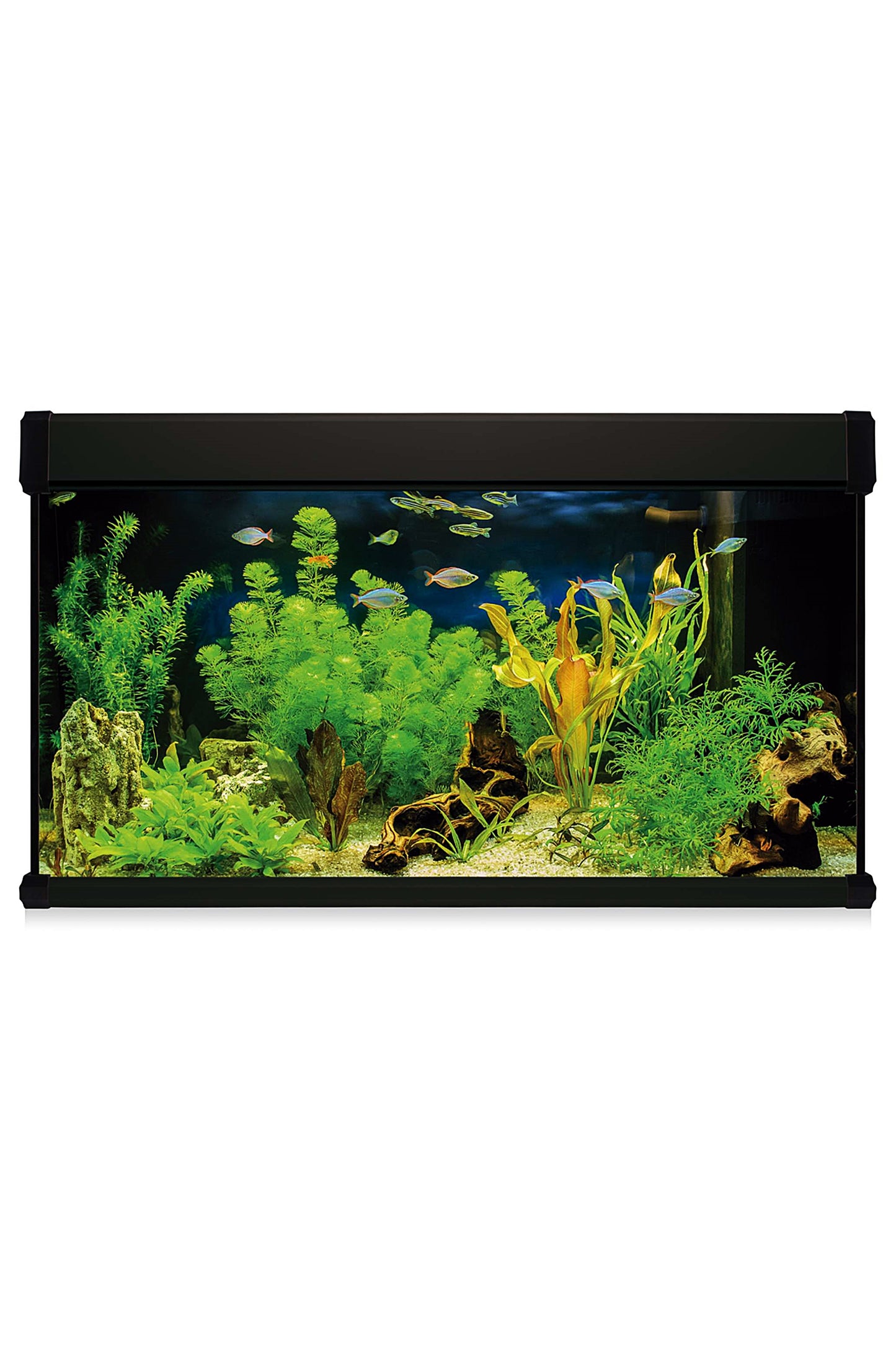 Acuario Kit AquaLux PRO 300 con Filtro Exterior (300 litros) Negro