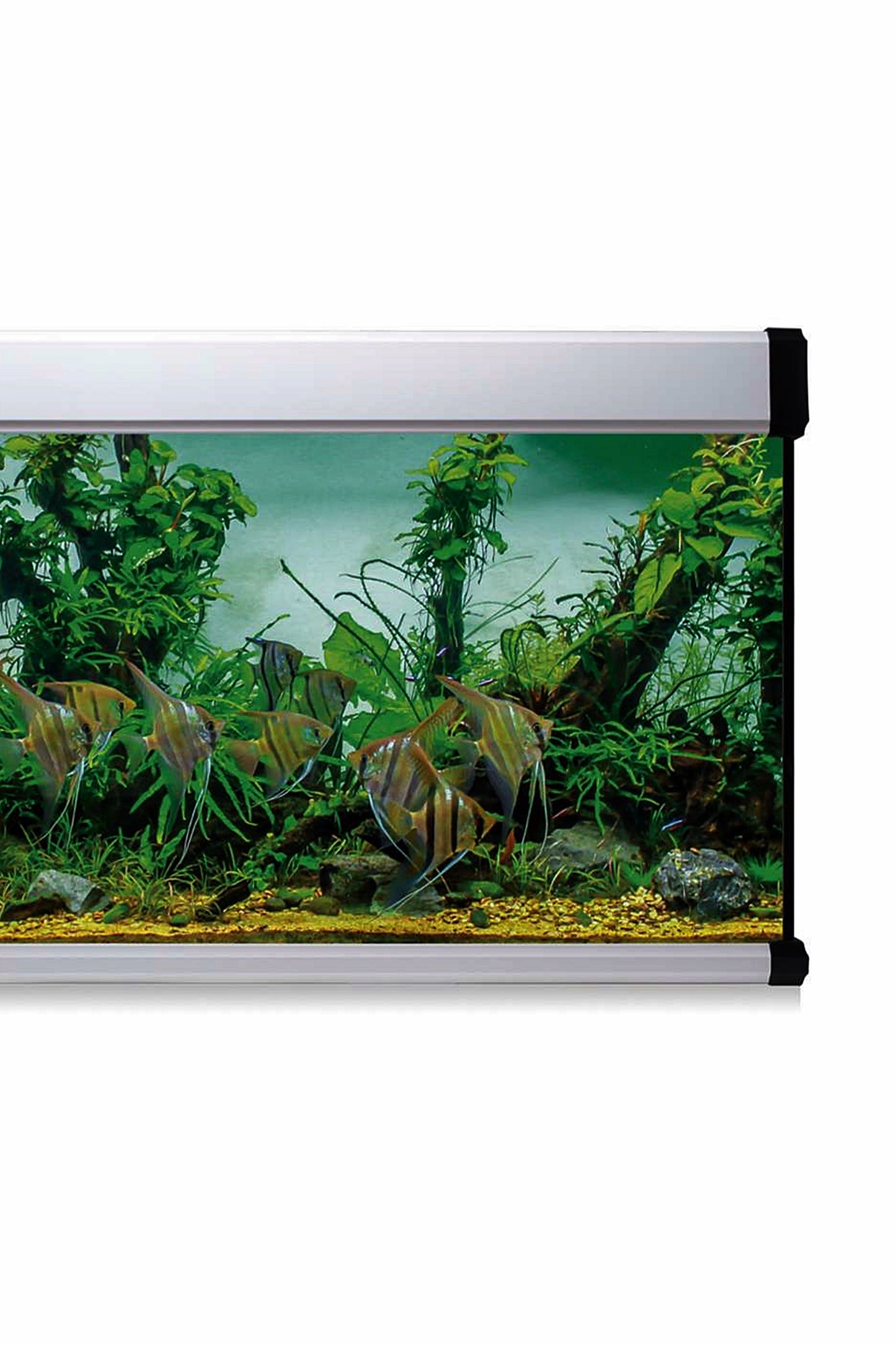 Acuario Kit AquaLux PRO 450 con Filtro Exterior (450 litros) Blanco