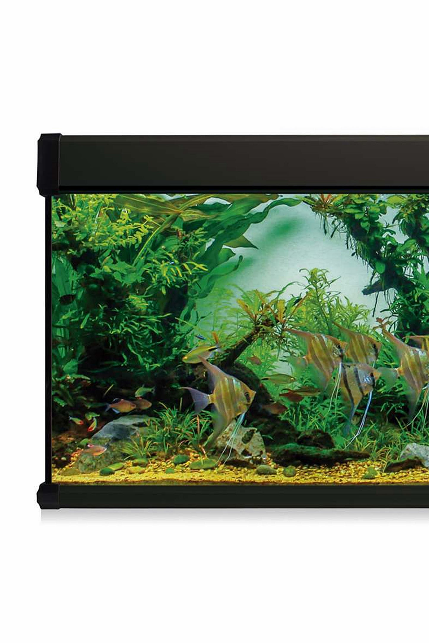 AquaLux PRO 450 Aquarium-Set mit Außenfilter (450 Liter), Schwarz