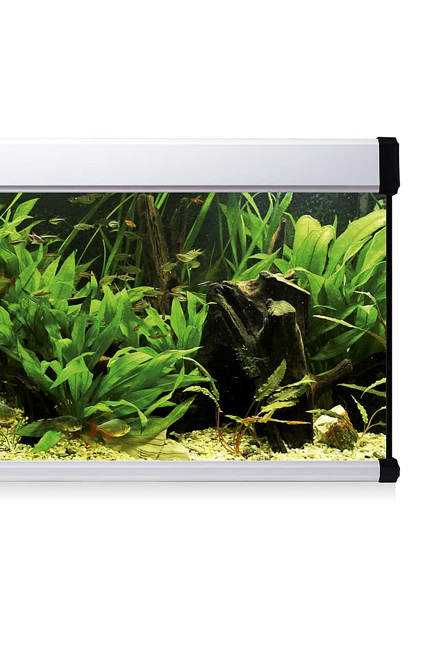 Acuario Kit AquaLux PRO 600 con Filtro Exterior (600 litros) Blanco