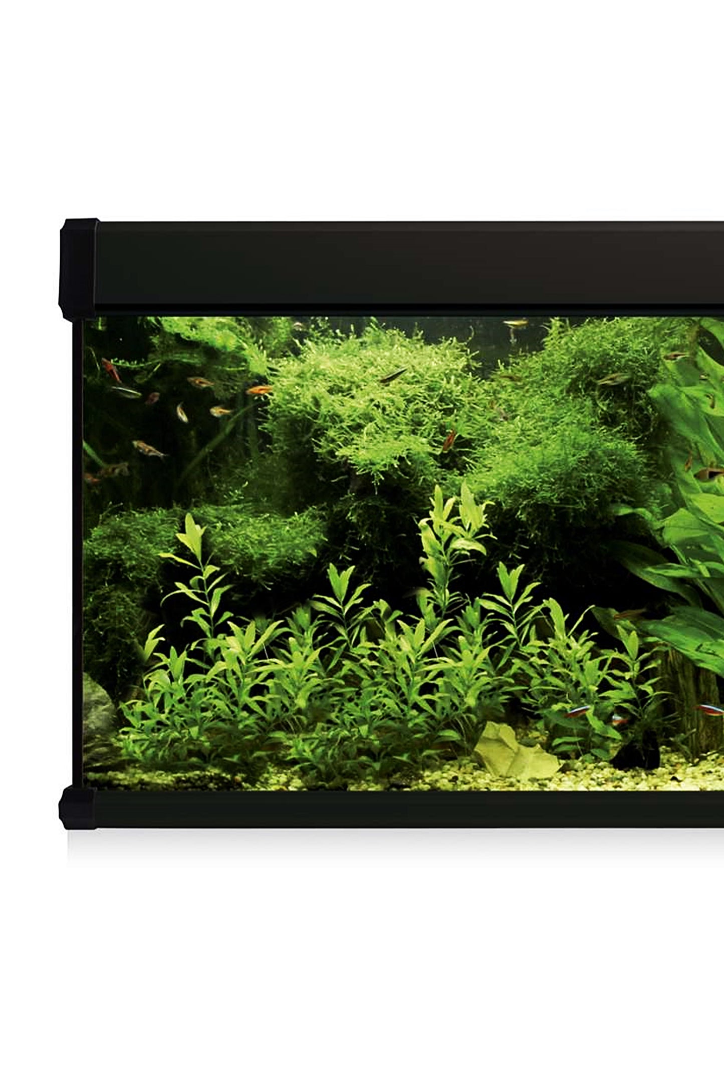 AquaLux PRO 600 Aquarium-Set mit Außenfilter (600 Liter), Schwarz