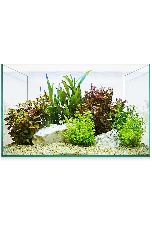 Urna AquaScape Basic 8 (6,8 litros)