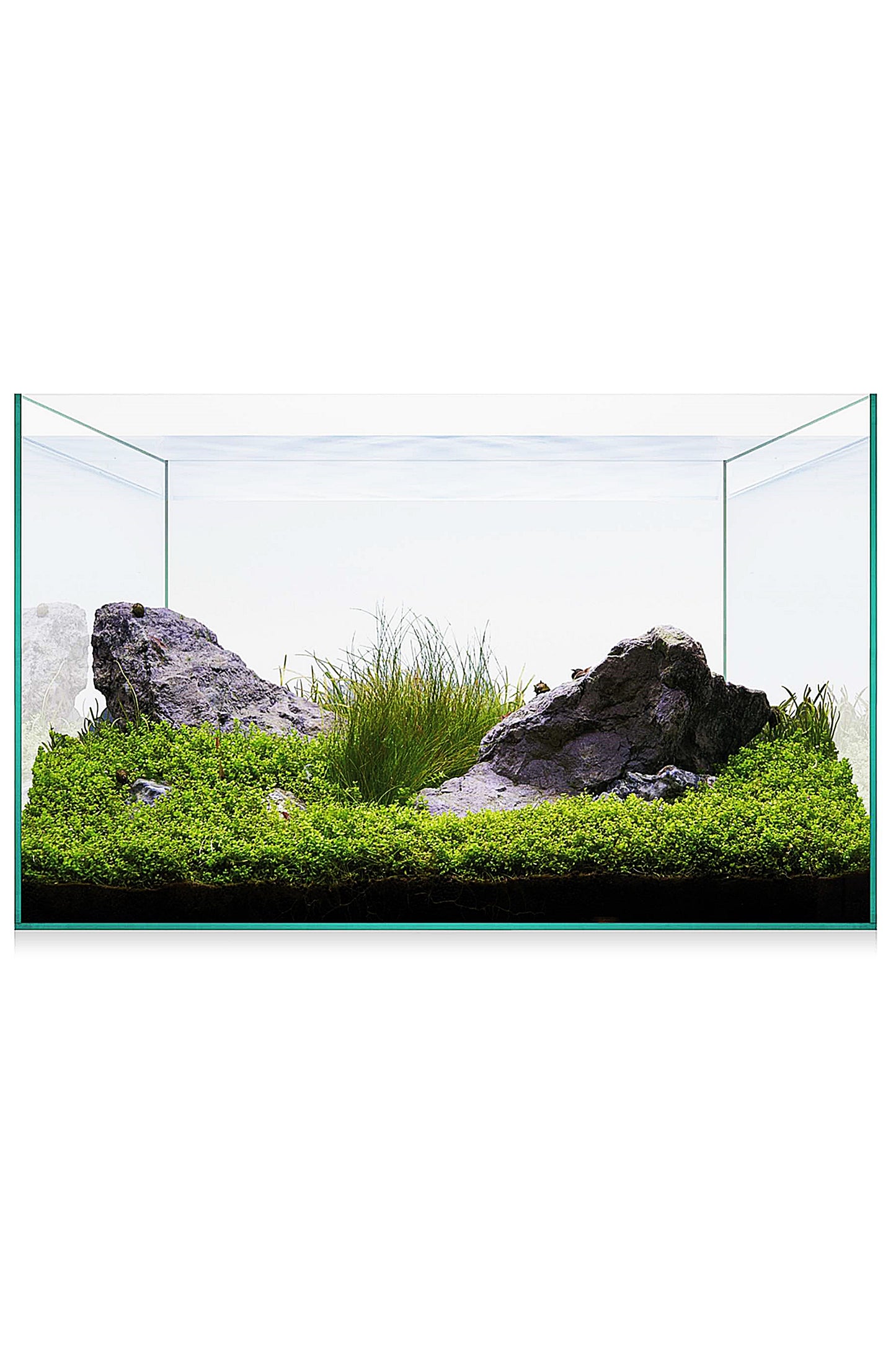 173949-aquascape-básico-urna-aquascape-básico-20