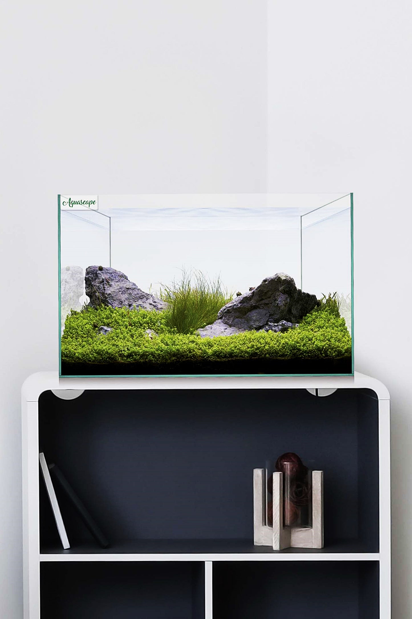 173949-aquascape-básico-urna-aquascape-básico-20