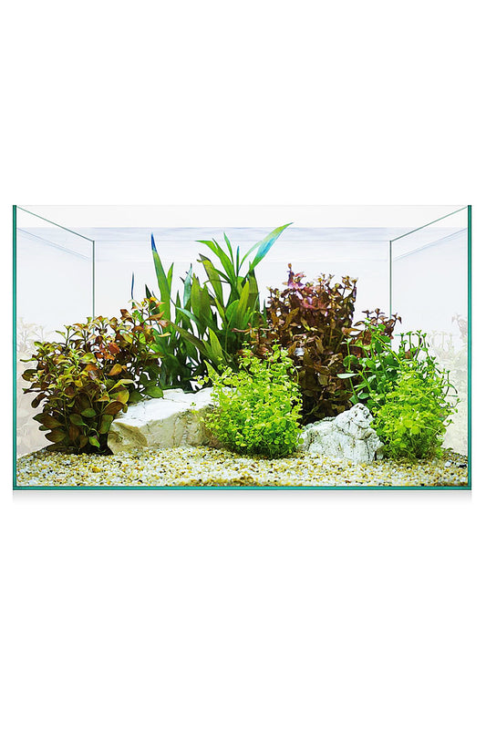 Acuario Kit AquaScape Basic 8 (6,8 litros)