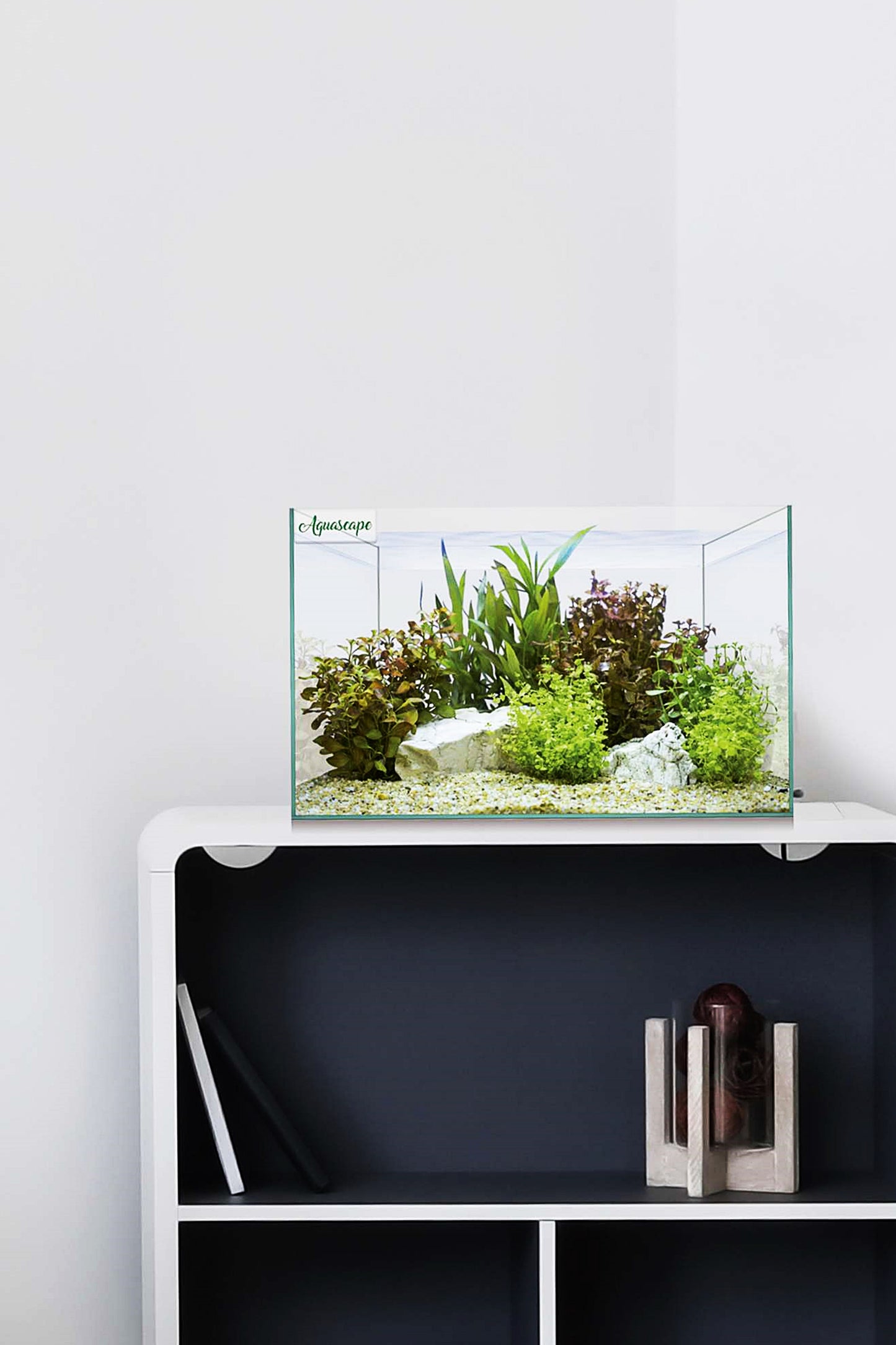 Acuario Kit AquaScape Basic 8 (6,8 litros)