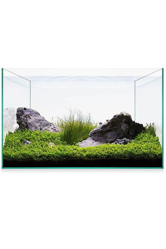 Acuario Kit AquaScape Basic 20 (18 litros)