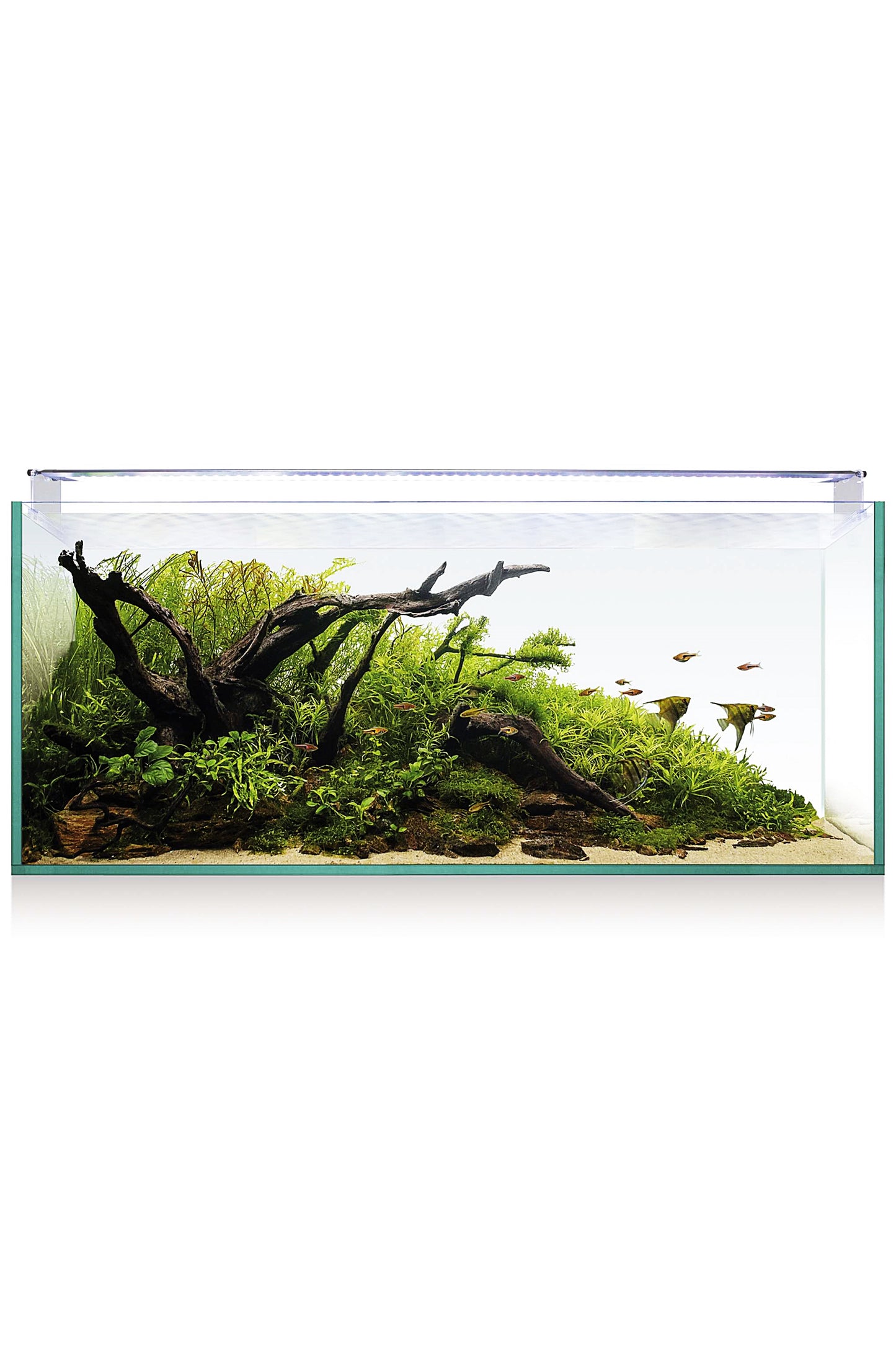 AquaScape RGB 130 Aquarium-Kit (123 Liter)