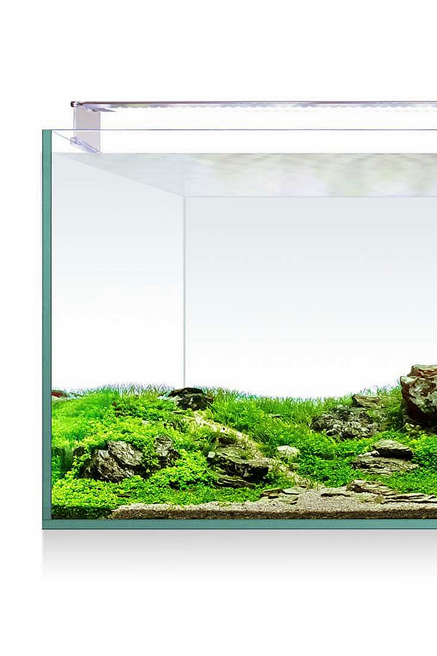 AquaScape RGB 130 Aquarium-Kit (123 Liter)