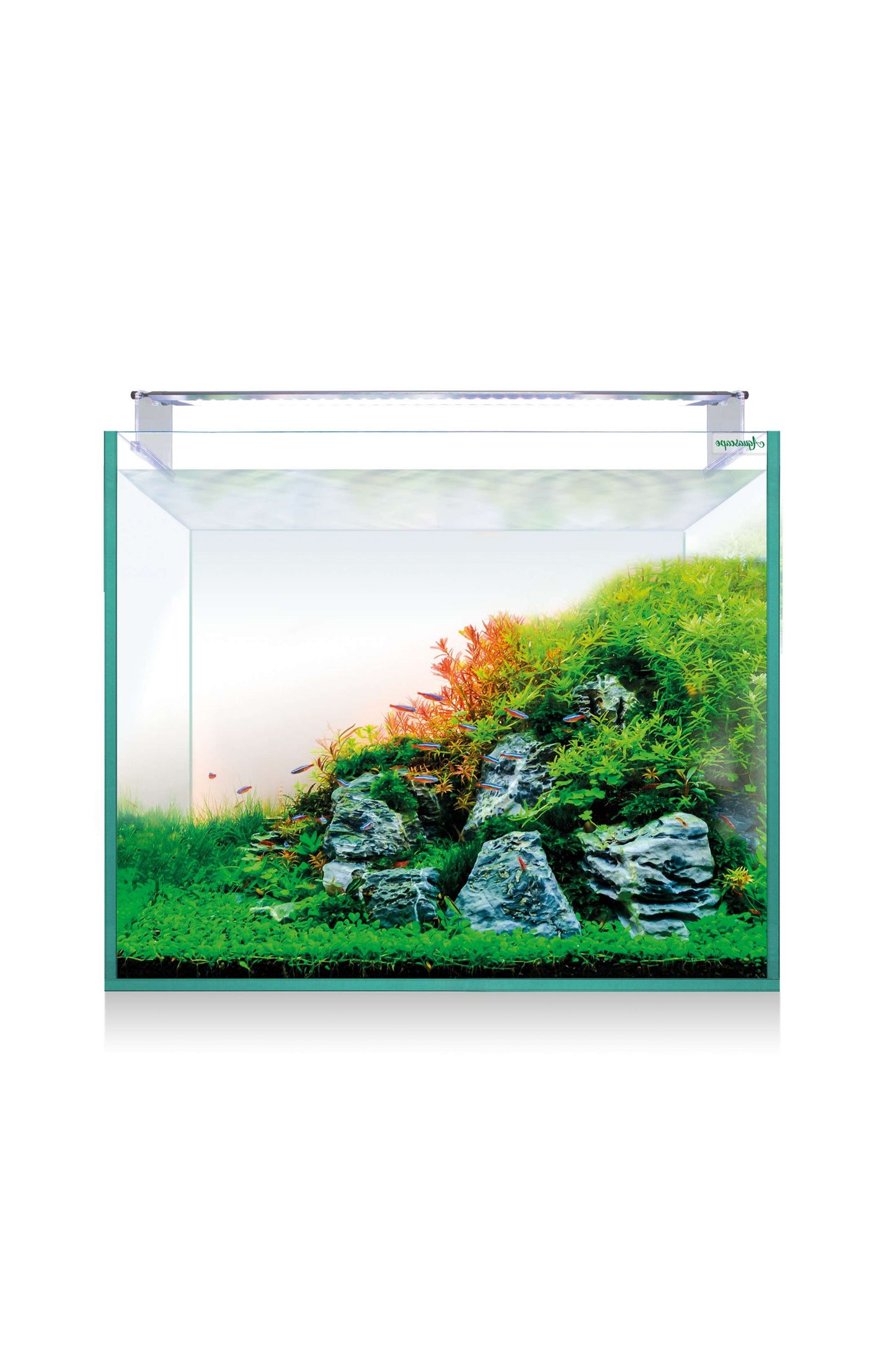 Acuario Kit AquaScape RGB PRO Extra Claro 150 (136 litros)