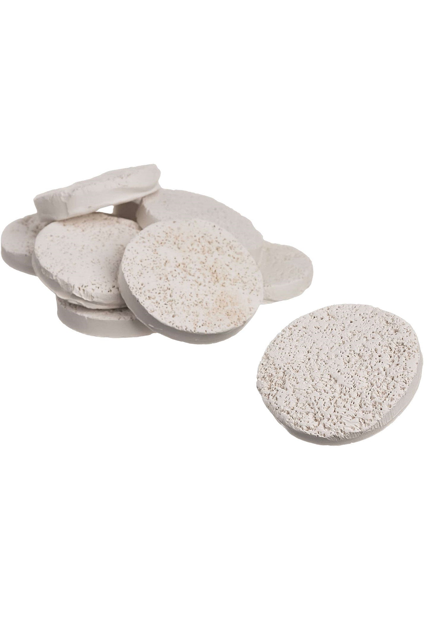 Base para Corales: Frag Disc DVH (35 uds)