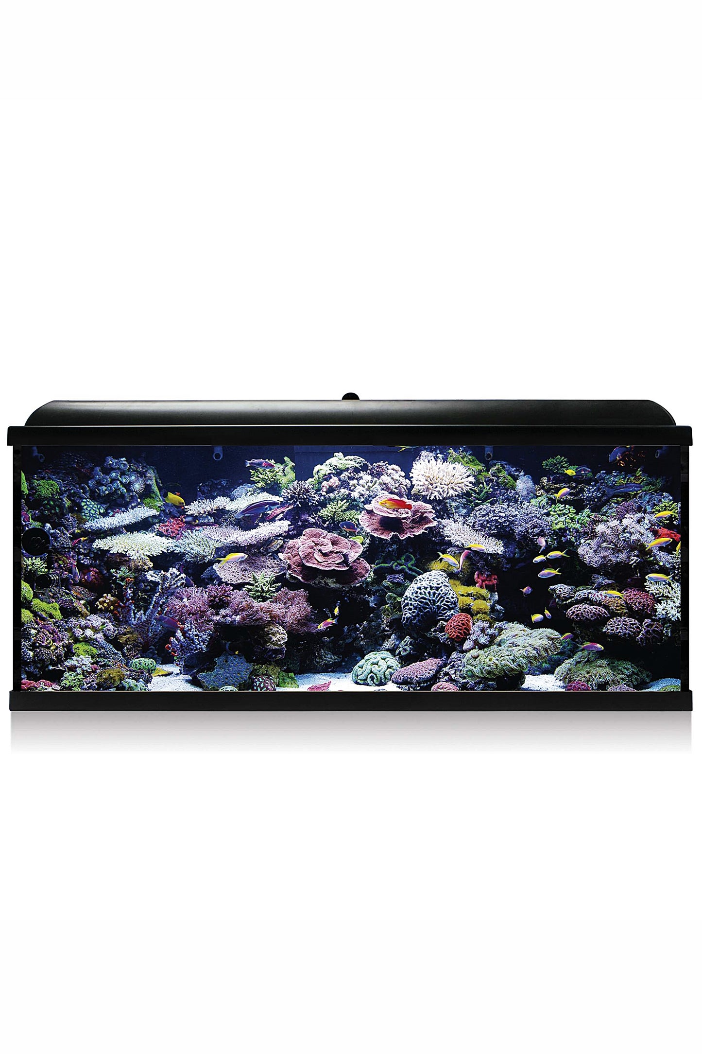 Aquarienset Hydra 240 für Meerwasser (240 Liter) Schwarz