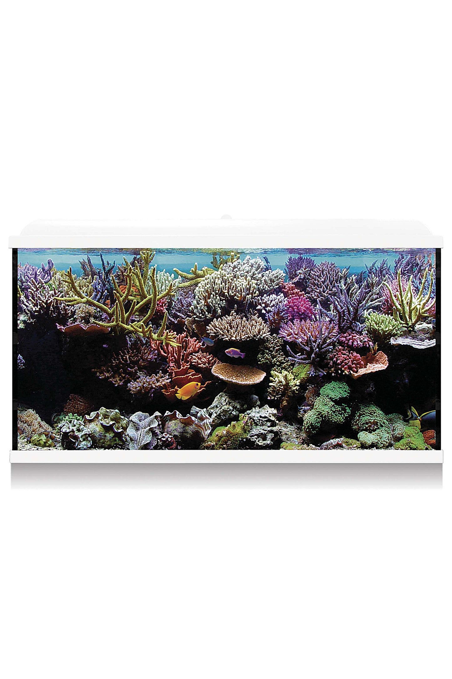 Aquarium-Kit Hydra 300 für Meerwasser (300 Liter) Weiß