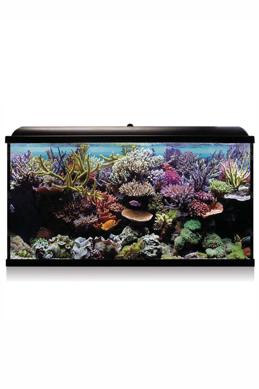 Acuario Kit Hydra 300 para marino (300 litros) Negro