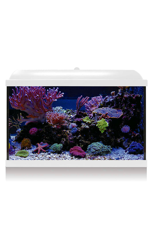 Acuario Kit Hydra 68 para marino (68 litros) Blanco