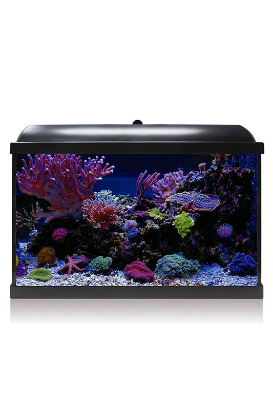 Acuario Kit Hydra 68 para marino (68 litros) Negro